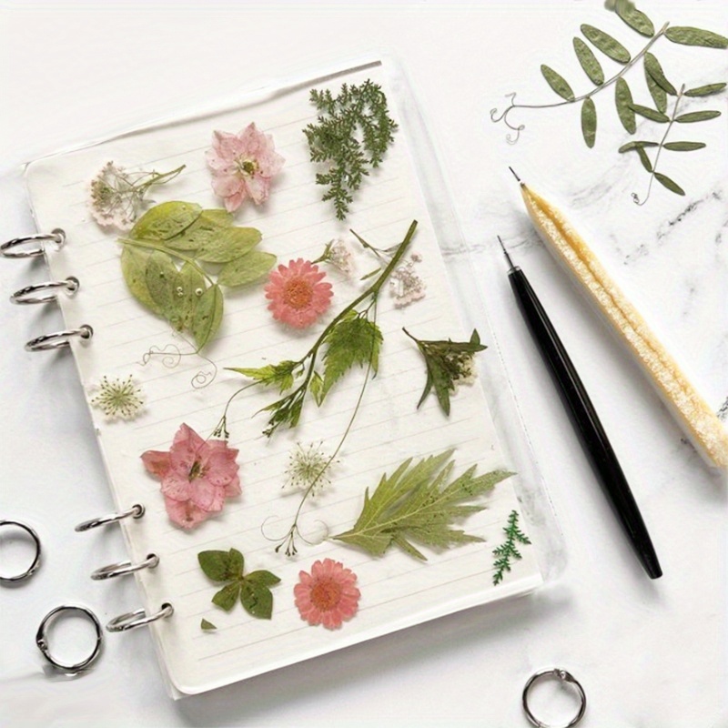 1 set silicone notebook cover  - Ring Binder Box reseña y precio