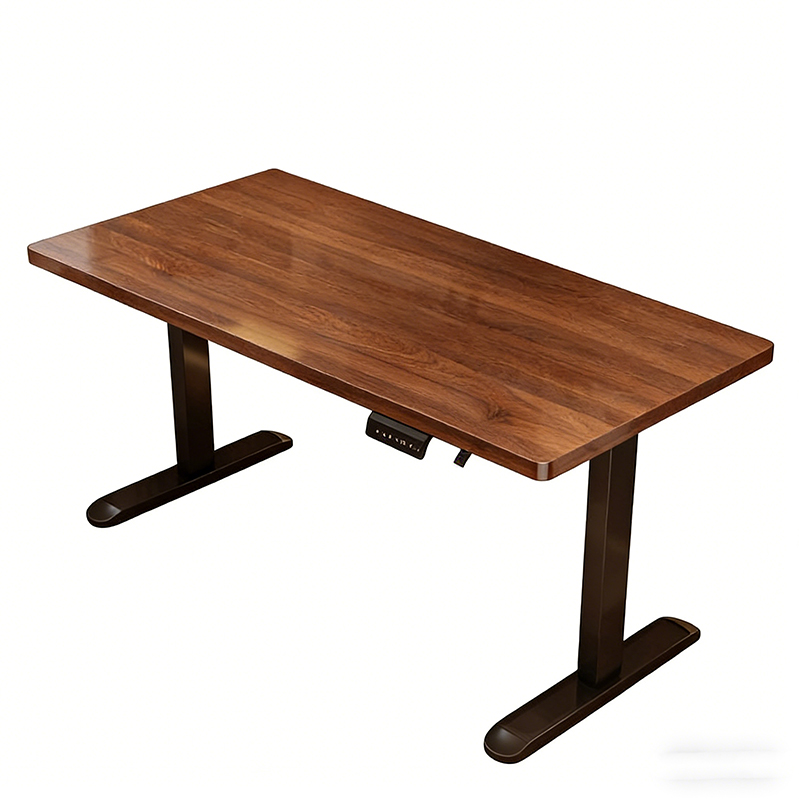 Modern Iron Dual Motor Electri - Desk Setup For Office reseña y precio