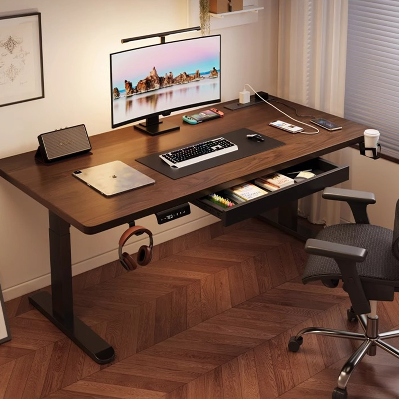 Modern Iron Dual Motor Electri - Desk Setup For Office reseña y precio