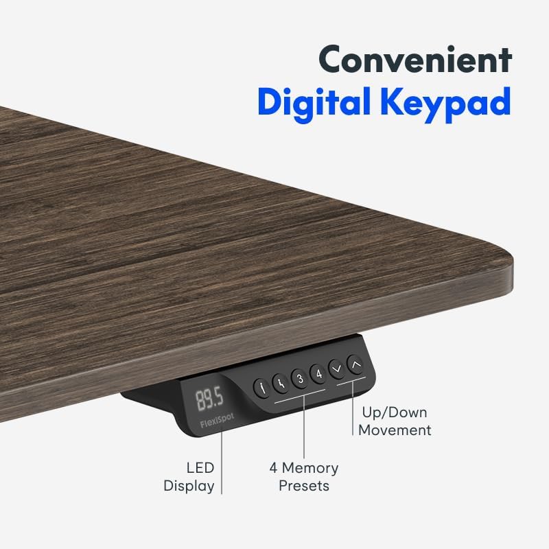 Electric Standing Desk with Du - Desk Setup In Office reseña y precio